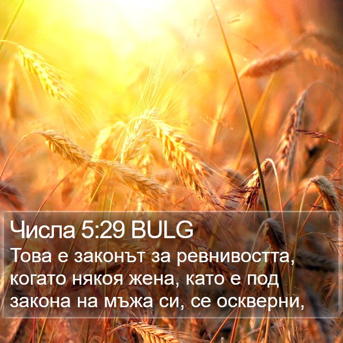 Числа 5:29 BULG Bible Study