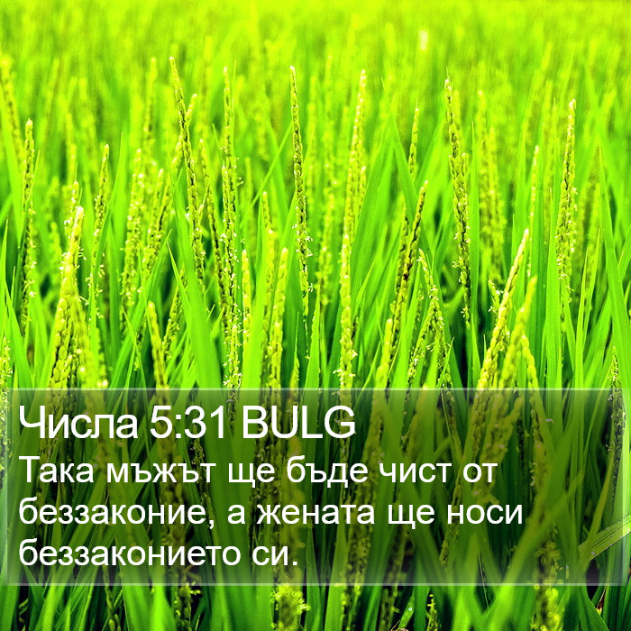 Числа 5:31 BULG Bible Study