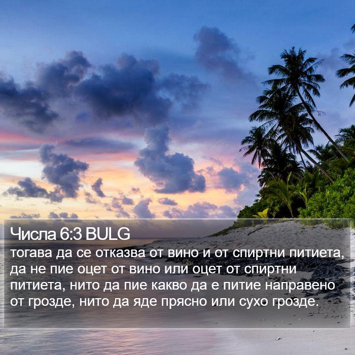 Числа 6:3 BULG Bible Study