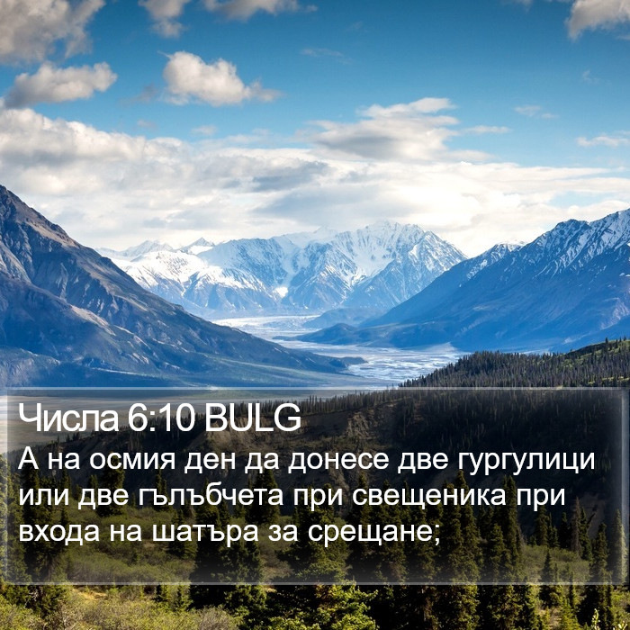 Числа 6:10 BULG Bible Study