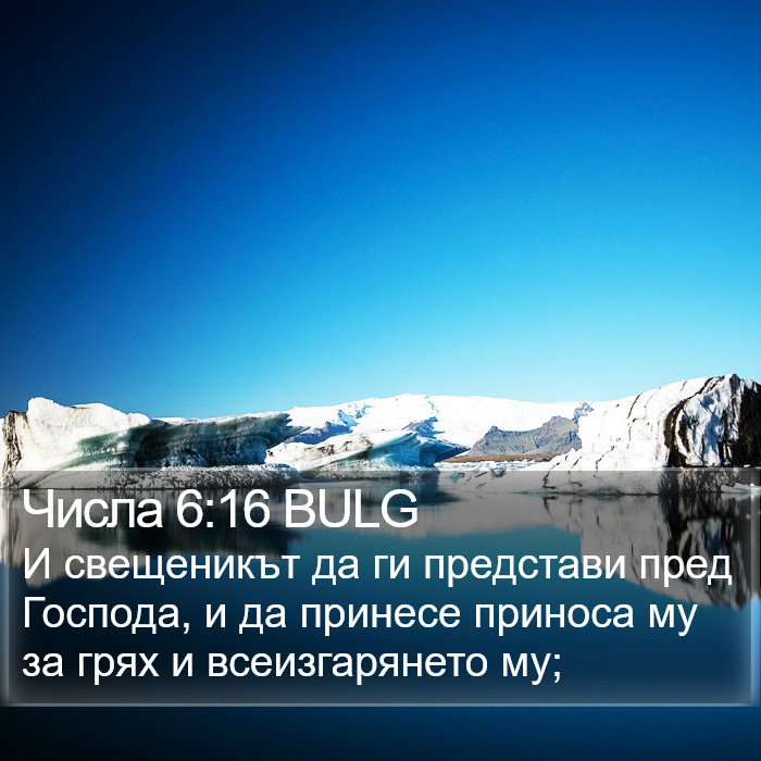 Числа 6:16 BULG Bible Study