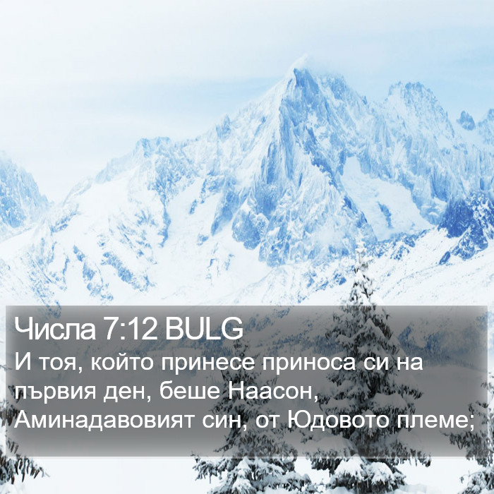 Числа 7:12 BULG Bible Study