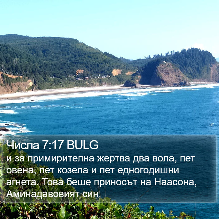 Числа 7:17 BULG Bible Study