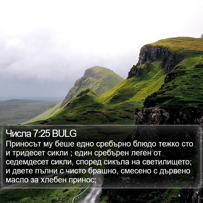 Числа 7:25 BULG Bible Study