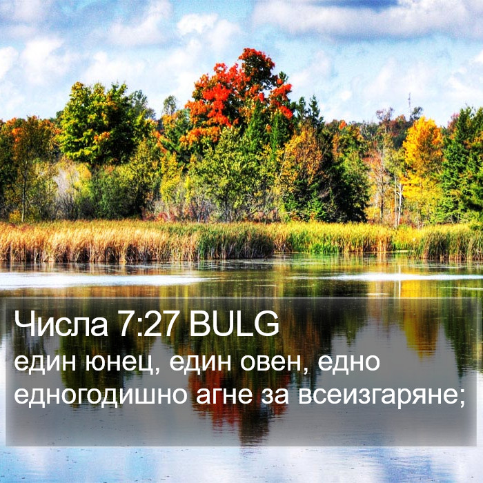 Числа 7:27 BULG Bible Study