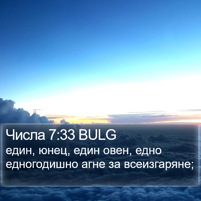 Числа 7:33 BULG Bible Study