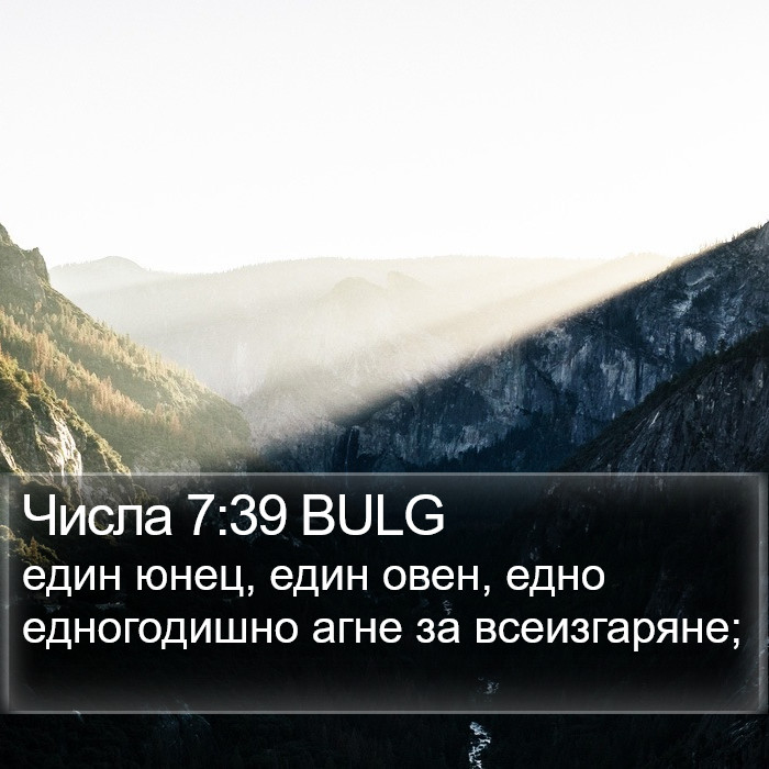 Числа 7:39 BULG Bible Study