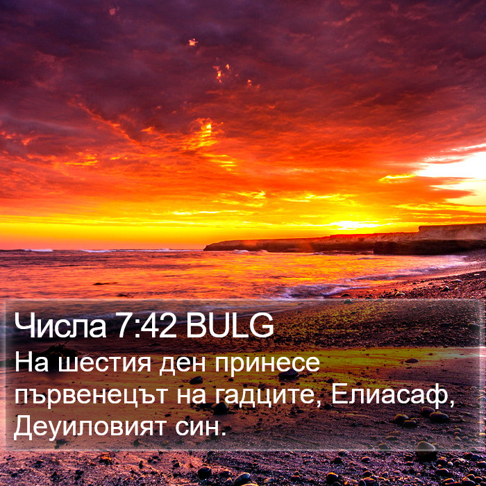 Числа 7:42 BULG Bible Study