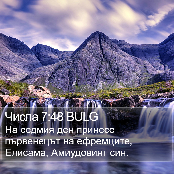 Числа 7:48 BULG Bible Study