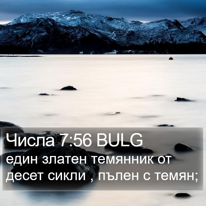 Числа 7:56 BULG Bible Study