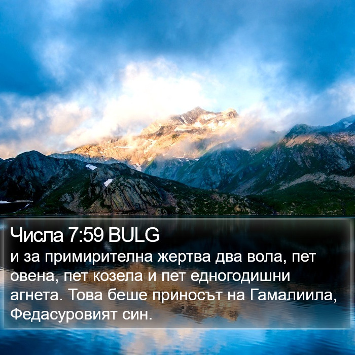 Числа 7:59 BULG Bible Study
