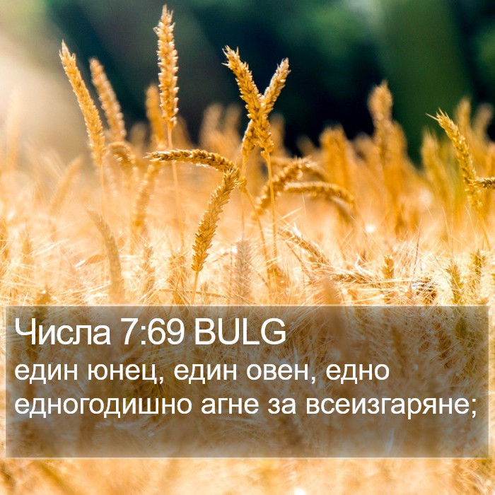 Числа 7:69 BULG Bible Study