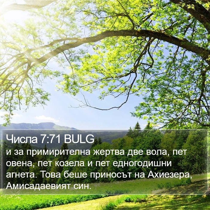 Числа 7:71 BULG Bible Study