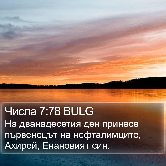 Числа 7:78 BULG Bible Study