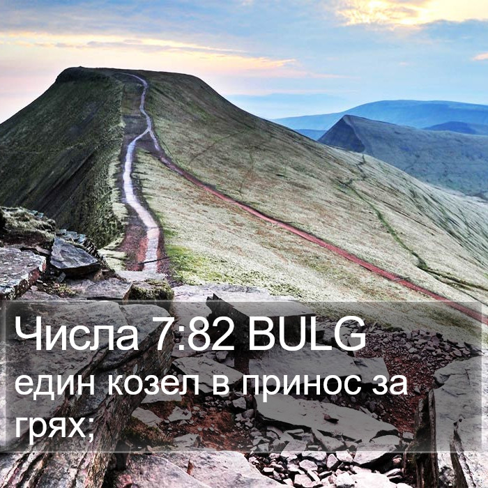 Числа 7:82 BULG Bible Study