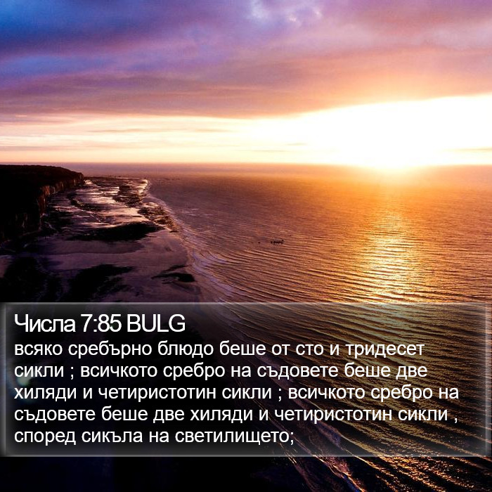 Числа 7:85 BULG Bible Study