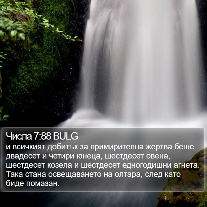 Числа 7:88 BULG Bible Study