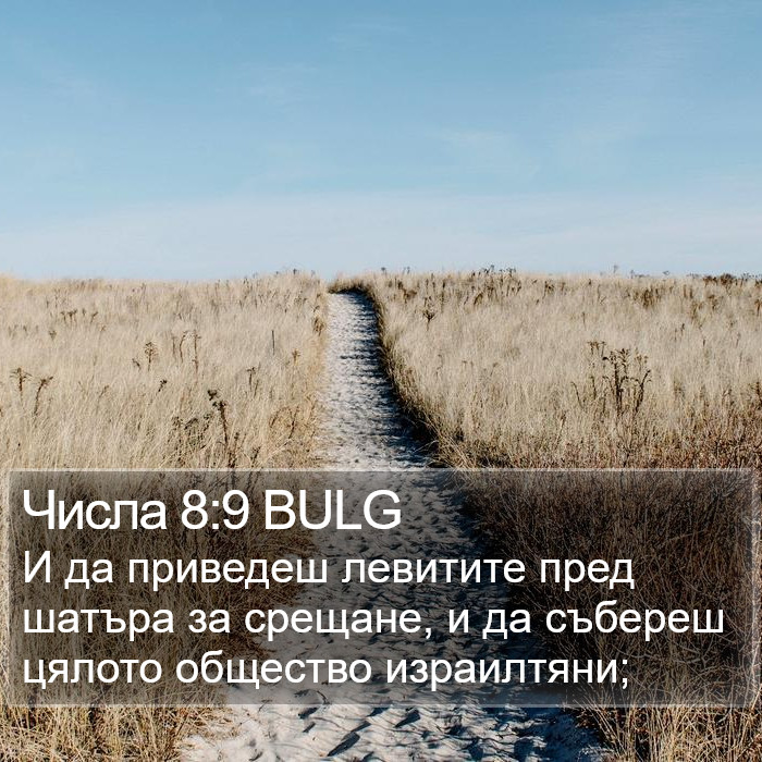 Числа 8:9 BULG Bible Study