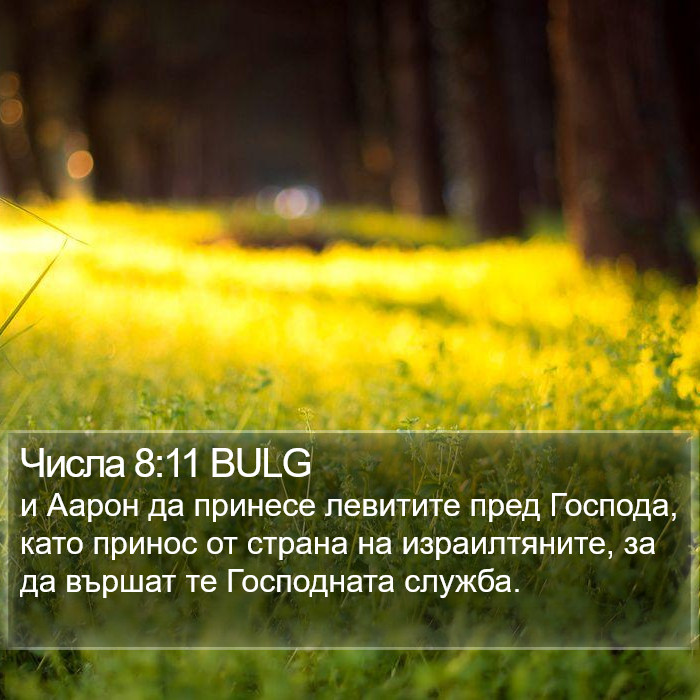 Числа 8:11 BULG Bible Study