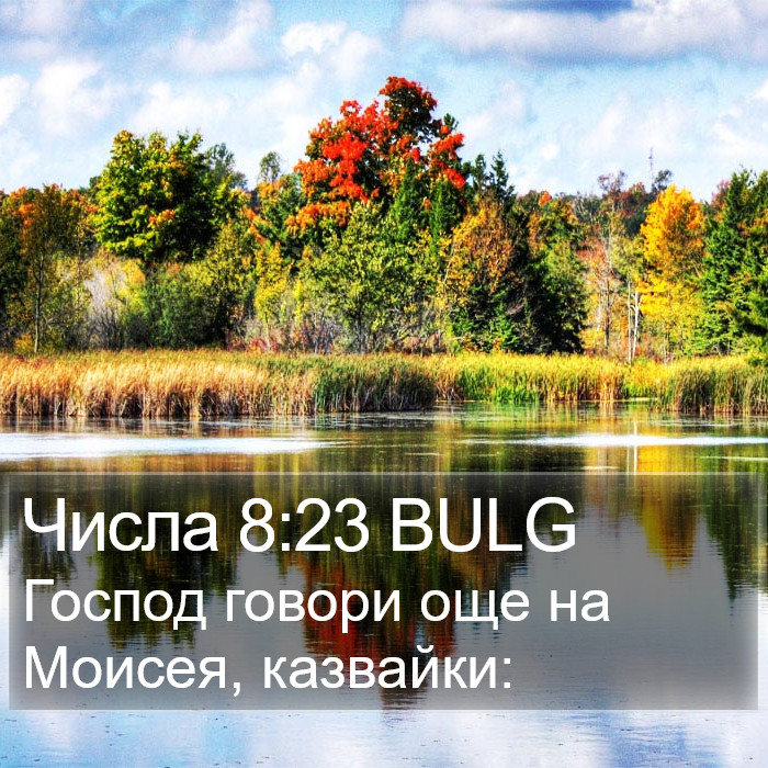 Числа 8:23 BULG Bible Study