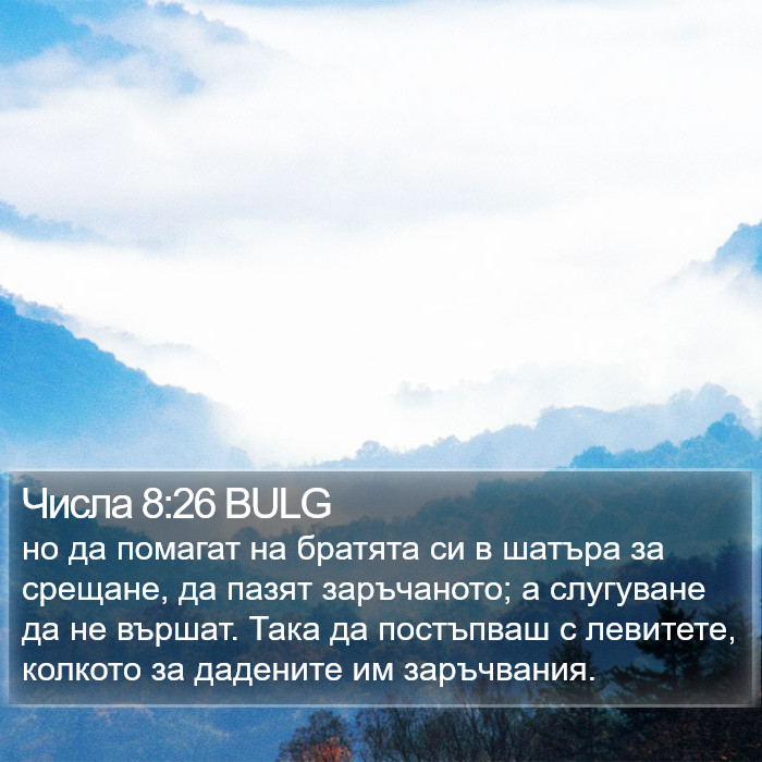 Числа 8:26 BULG Bible Study