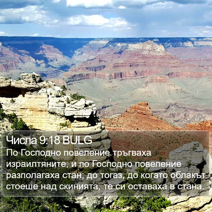 Числа 9:18 BULG Bible Study
