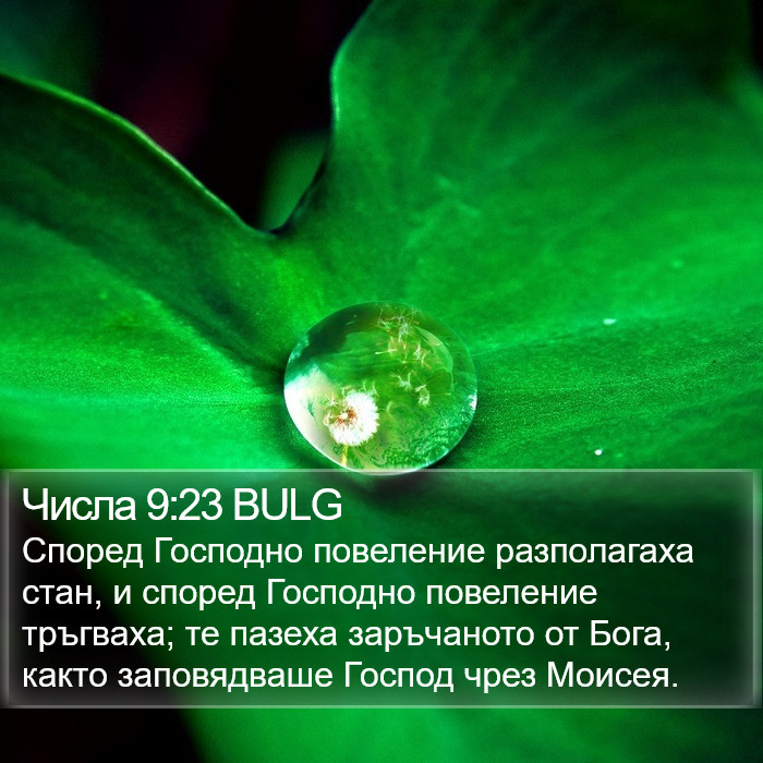 Числа 9:23 BULG Bible Study