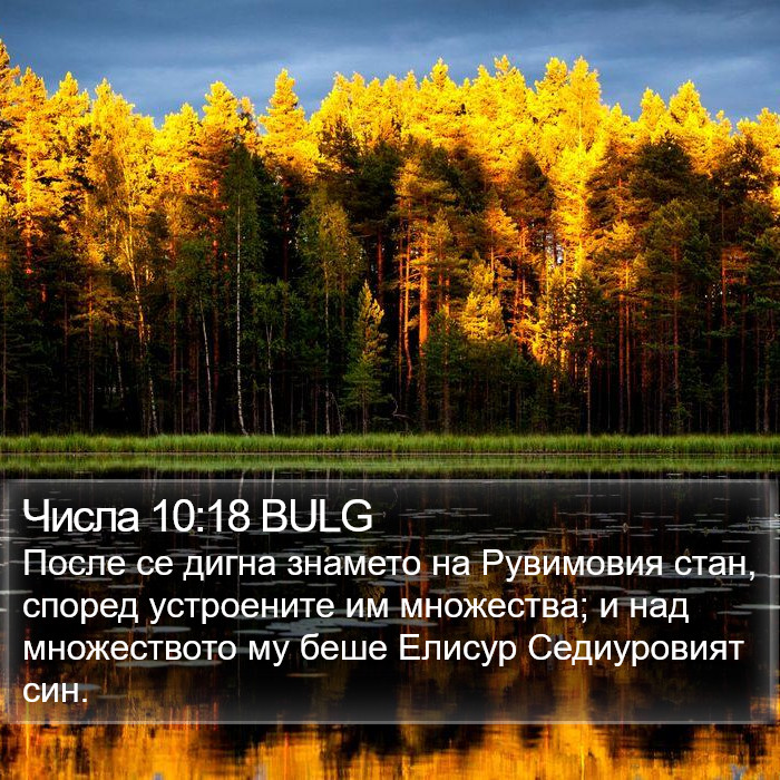 Числа 10:18 BULG Bible Study
