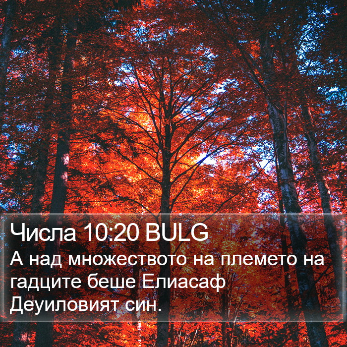 Числа 10:20 BULG Bible Study
