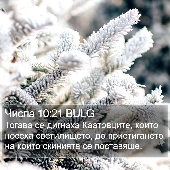 Числа 10:21 BULG Bible Study