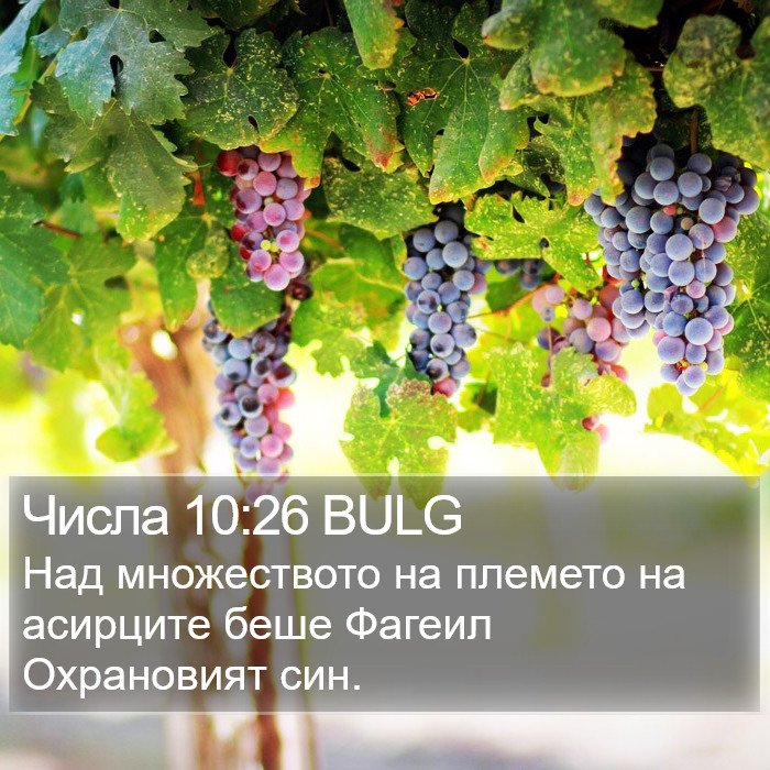 Числа 10:26 BULG Bible Study