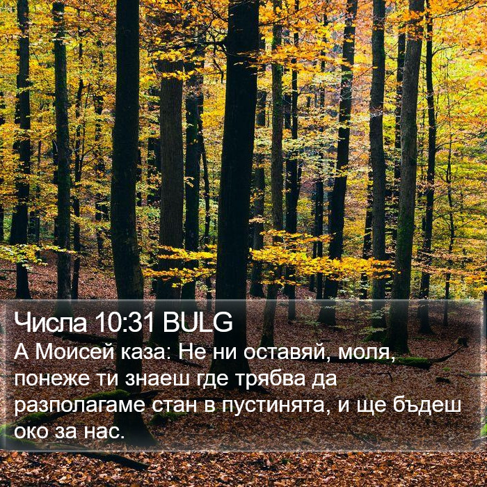 Числа 10:31 BULG Bible Study