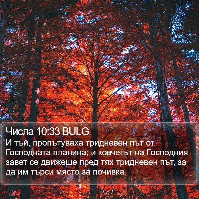 Числа 10:33 BULG Bible Study