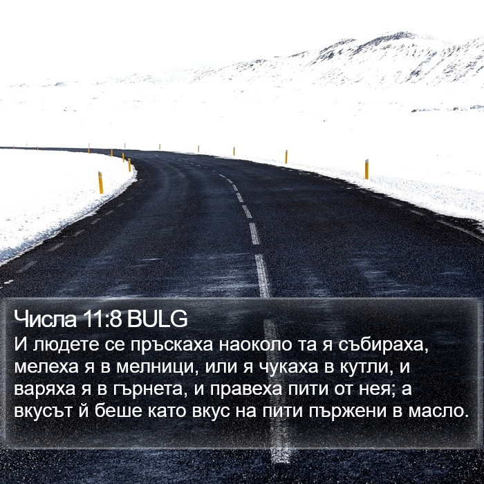 Числа 11:8 BULG Bible Study