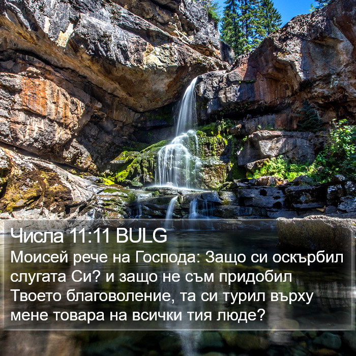 Числа 11:11 BULG Bible Study