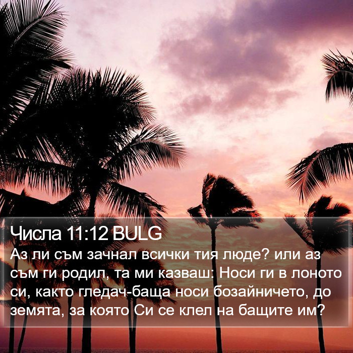 Числа 11:12 BULG Bible Study