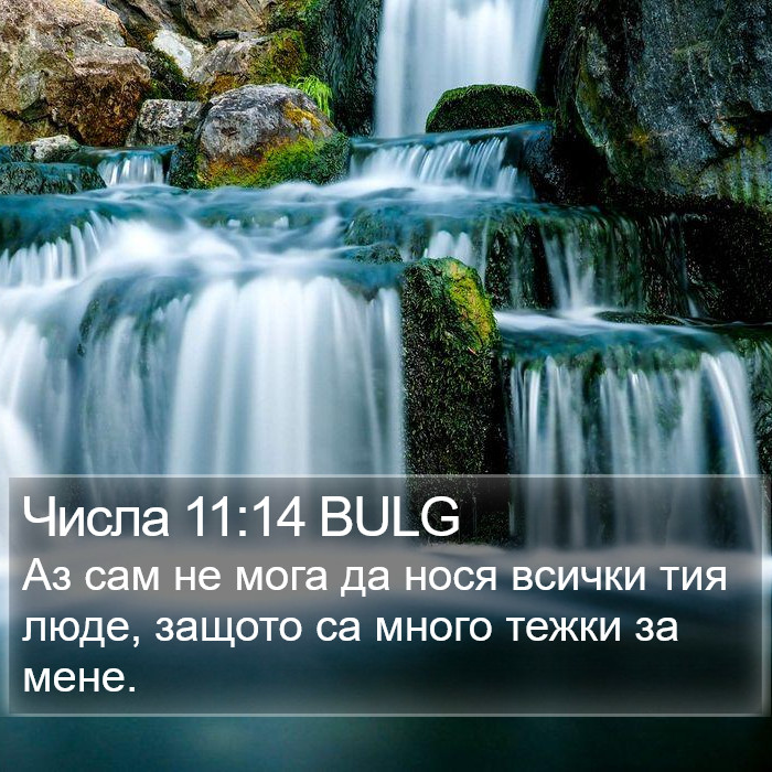 Числа 11:14 BULG Bible Study