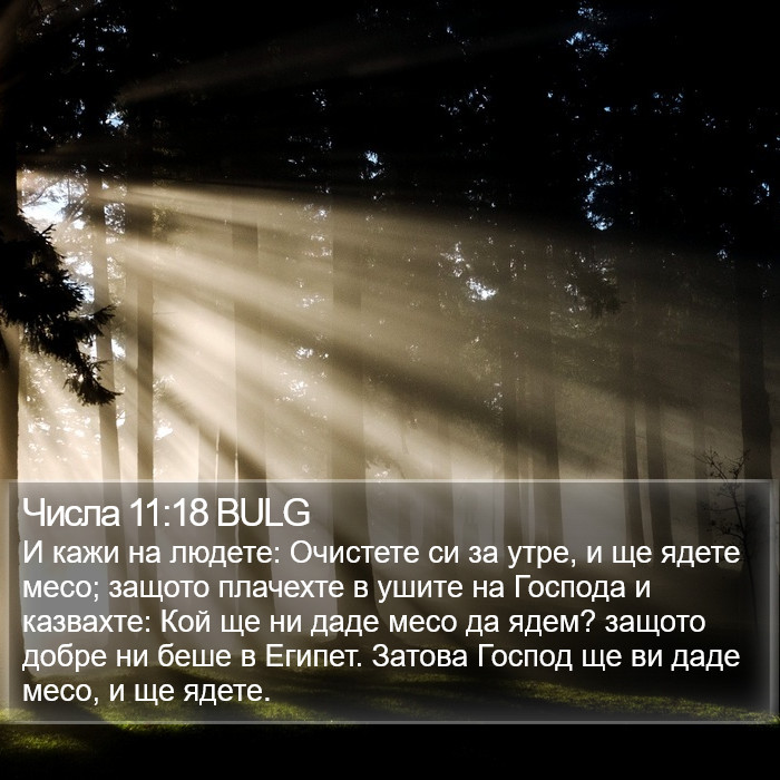 Числа 11:18 BULG Bible Study