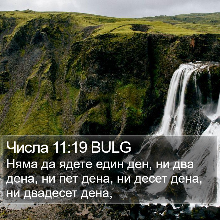 Числа 11:19 BULG Bible Study