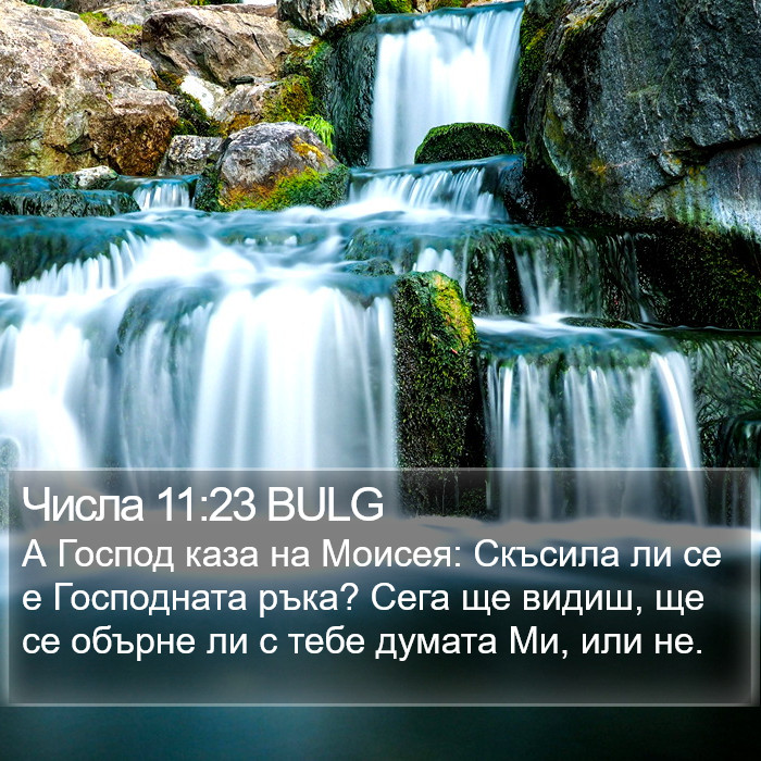 Числа 11:23 BULG Bible Study