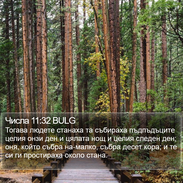 Числа 11:32 BULG Bible Study