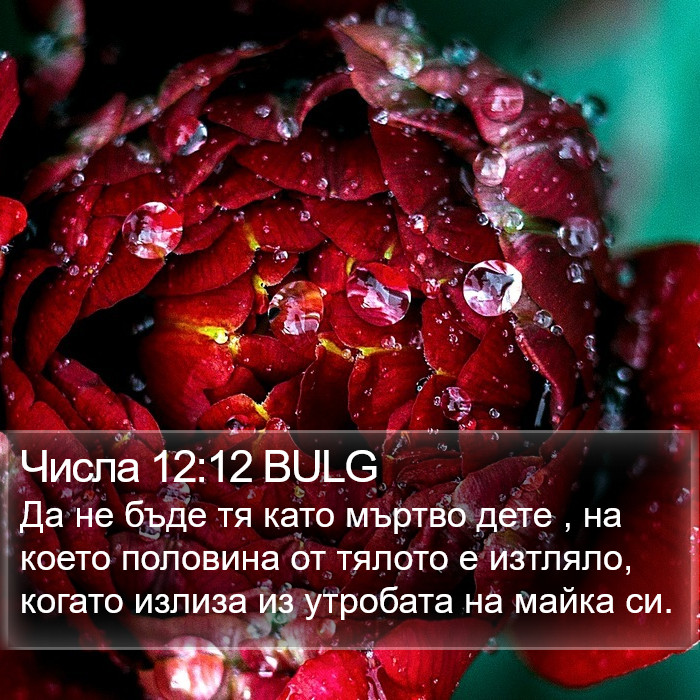 Числа 12:12 BULG Bible Study