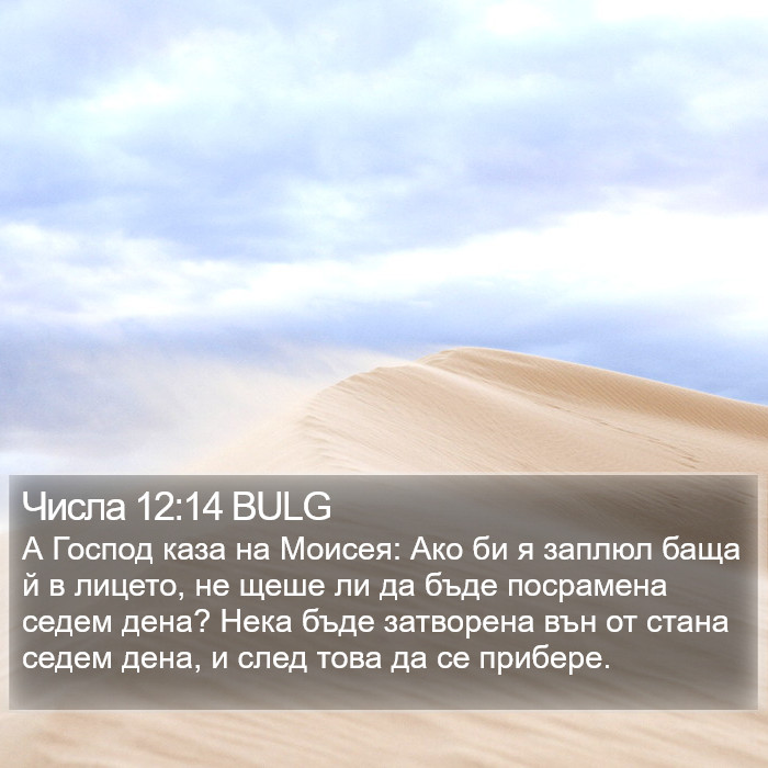 Числа 12:14 BULG Bible Study