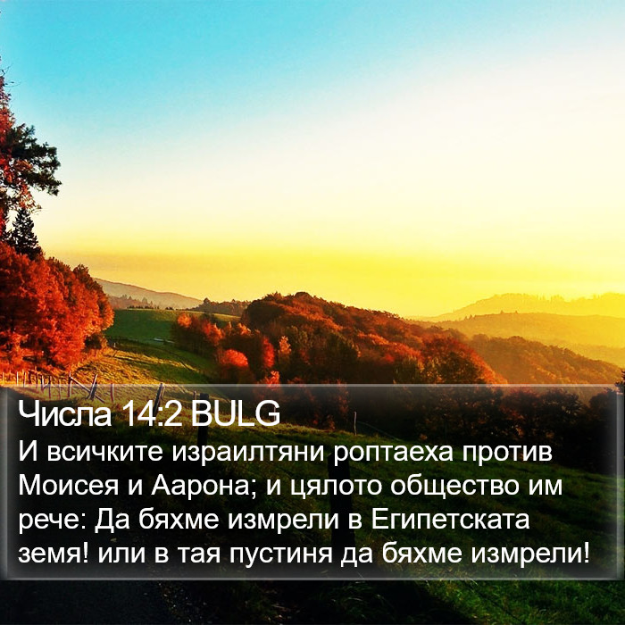 Числа 14:2 BULG Bible Study