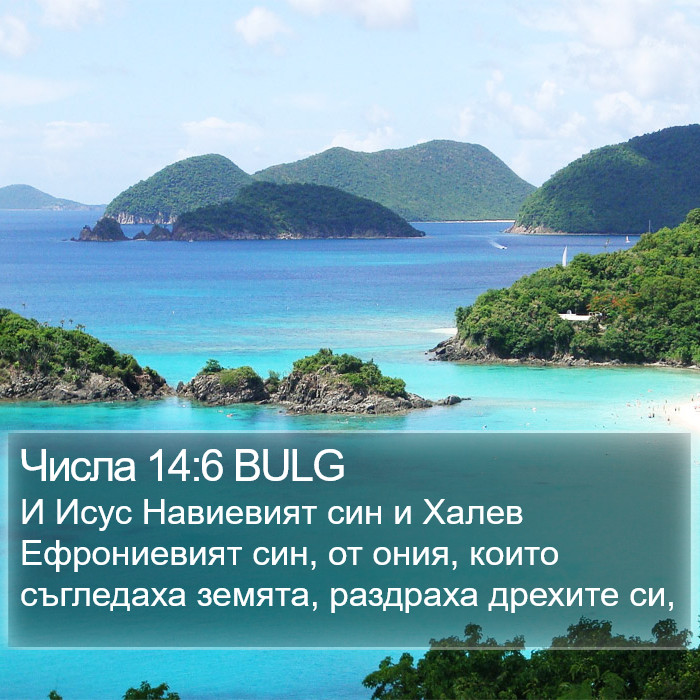 Числа 14:6 BULG Bible Study