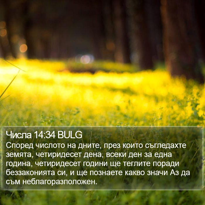 Числа 14:34 BULG Bible Study