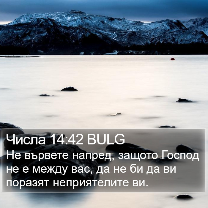 Числа 14:42 BULG Bible Study