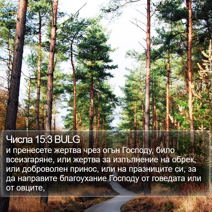Числа 15:3 BULG Bible Study