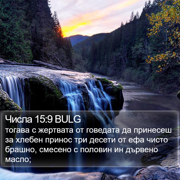 Числа 15:9 BULG Bible Study