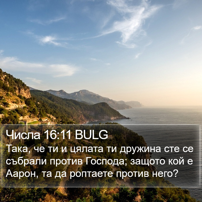 Числа 16:11 BULG Bible Study